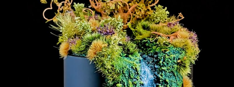 Wie macht man ein Wald-Diorama?